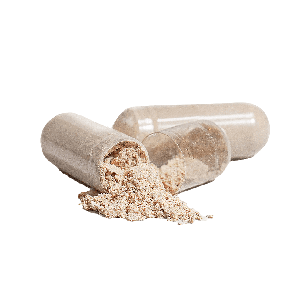 Neuro Focus